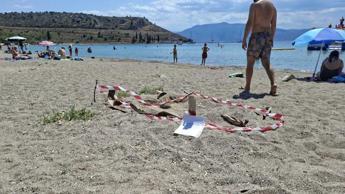 Καραθώνα: Τρεις φωλιές Caretta caretta στην παραλία του Ναυπλίου