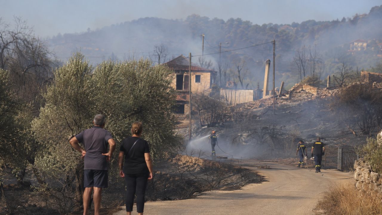 Φίχτια: Αίτημα για κατάσταση έκτακτης ανάγκης μετά τη φωτιά